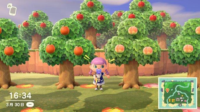 集合啦 动物森友会 树木种植技术攻略心得 知乎