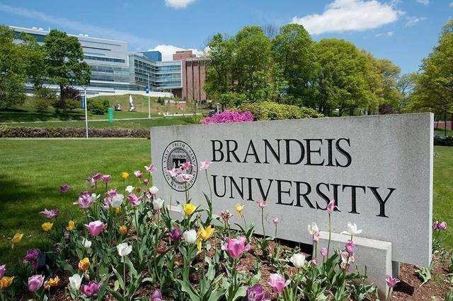 布兰迪斯大学国际经济和金融录取数据