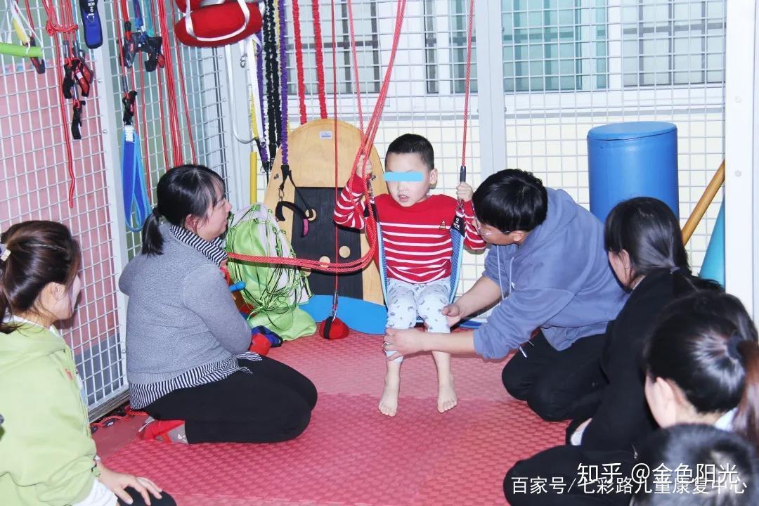 解放治疗师的双手set悬吊运动疗法