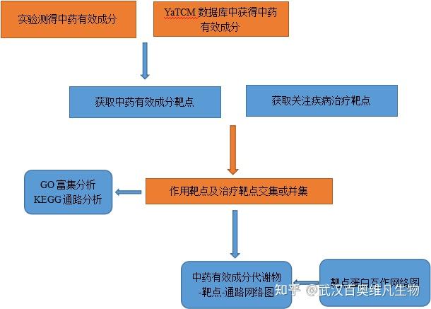 网络药理学流程图图片