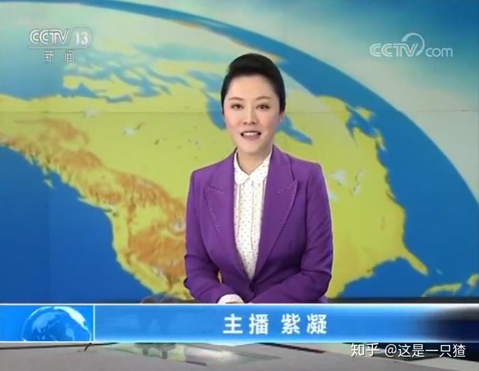 中央电视台财经主持人薇(中央电视台财经主持人薇薇简介)