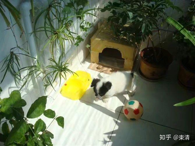 啥叫自控能力 v2-fdde3e43b5d7d6edbf727af44d73bc51_r.jpg