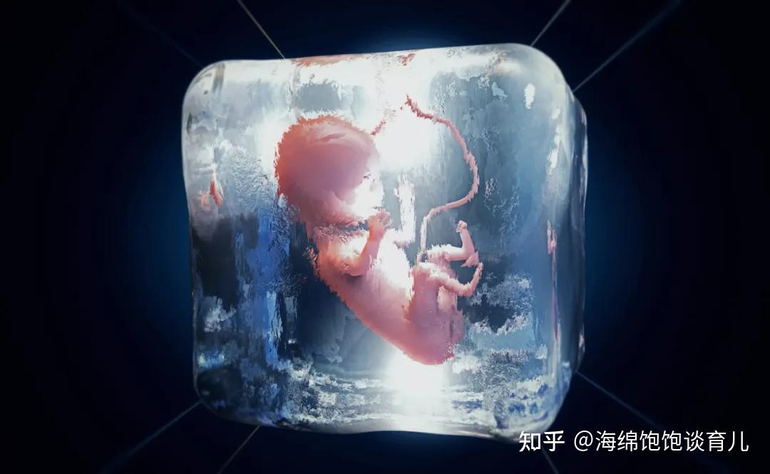 冻胚如何唤醒解冻胚胎移植需要哪些处理呢