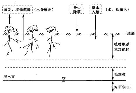 盐碱地 | 新疆盐碱地成因及改良措施浅析 - 知乎