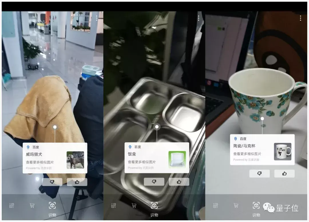 智能识物