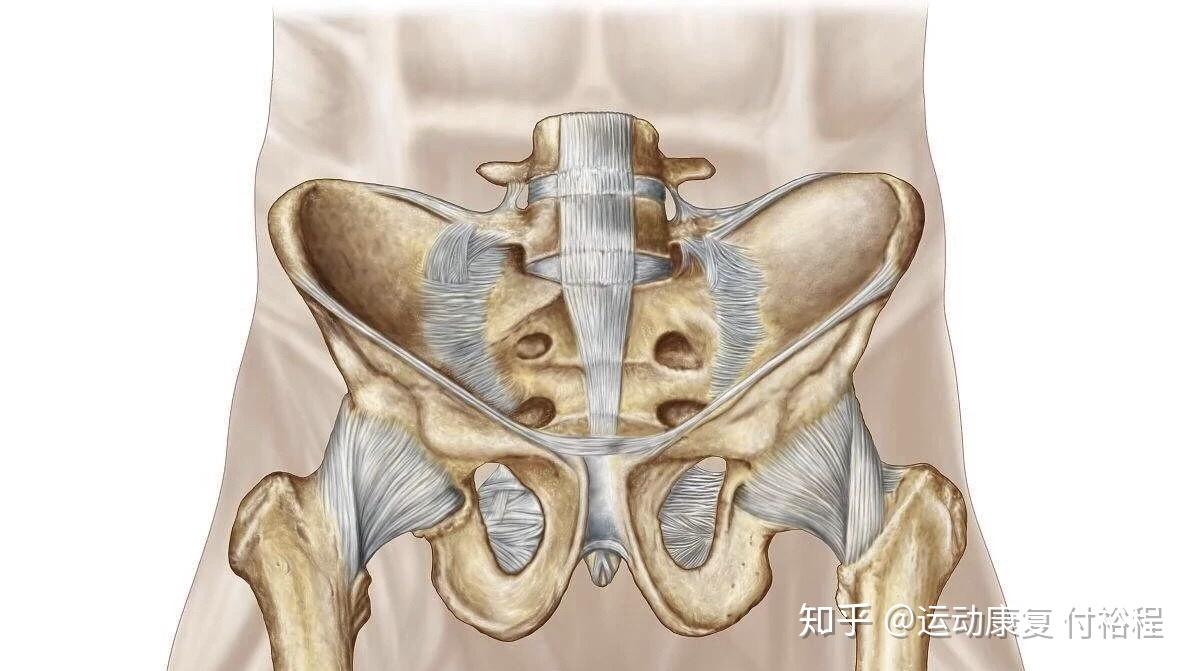 骨盆侧倾的探究站姿步态上楼梯