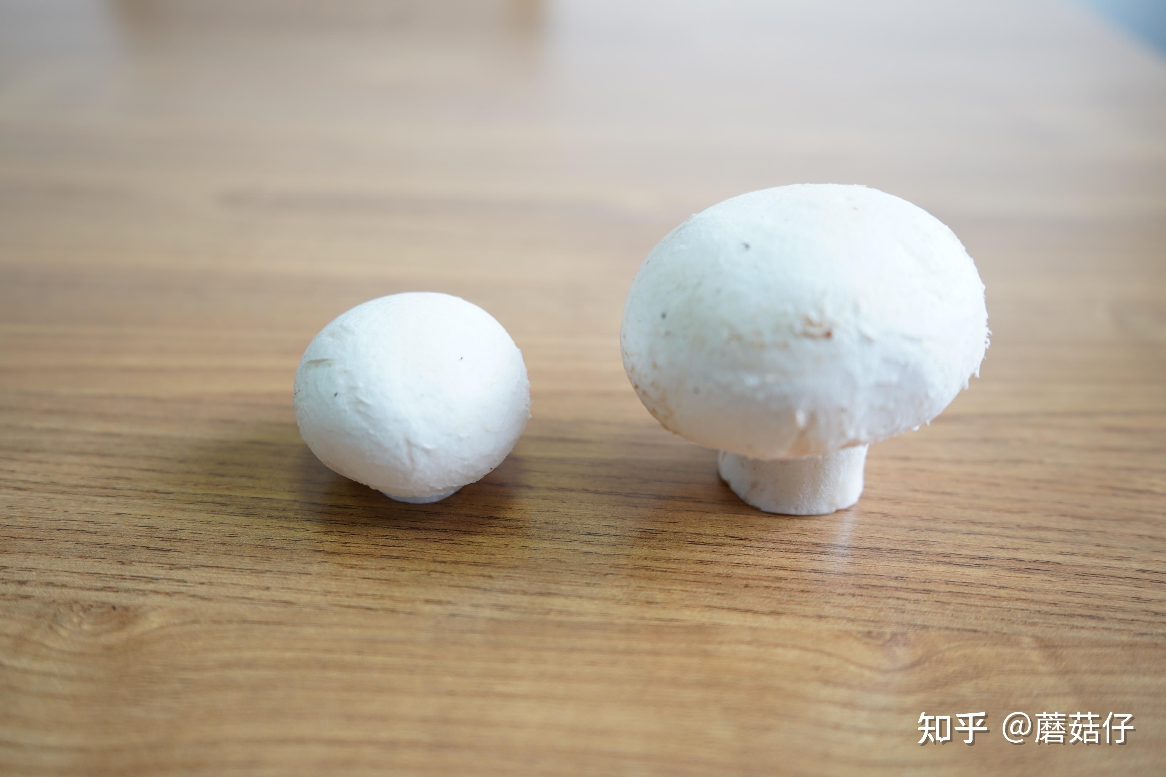 白蘑菇怎么做美味