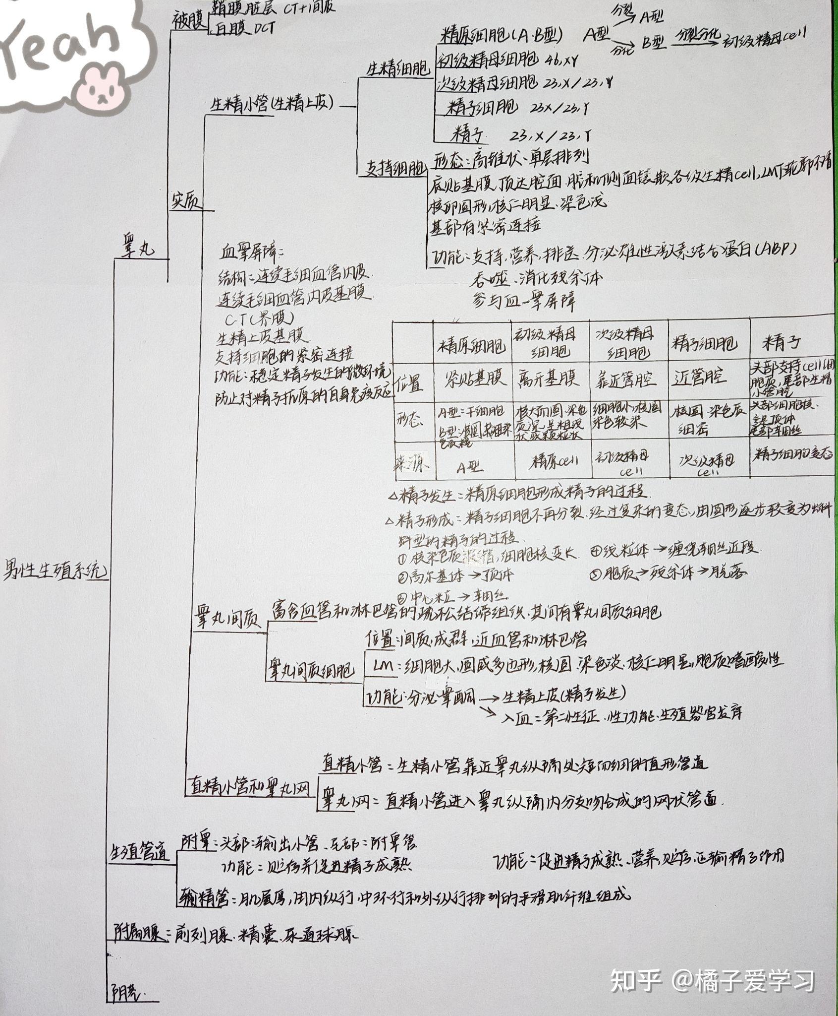 notes-18-19