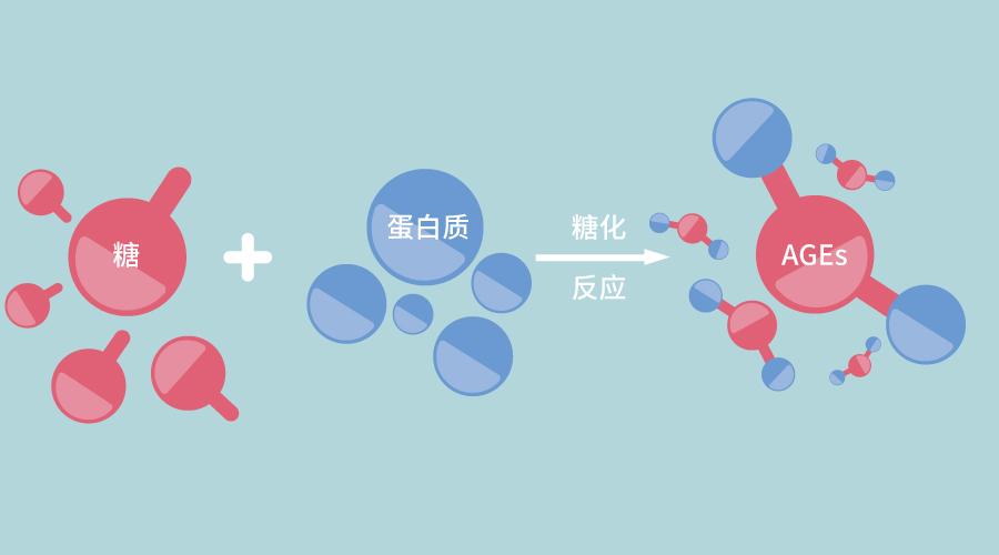 经常听到的「抗糖化」,到底是怎么回事? - 知乎