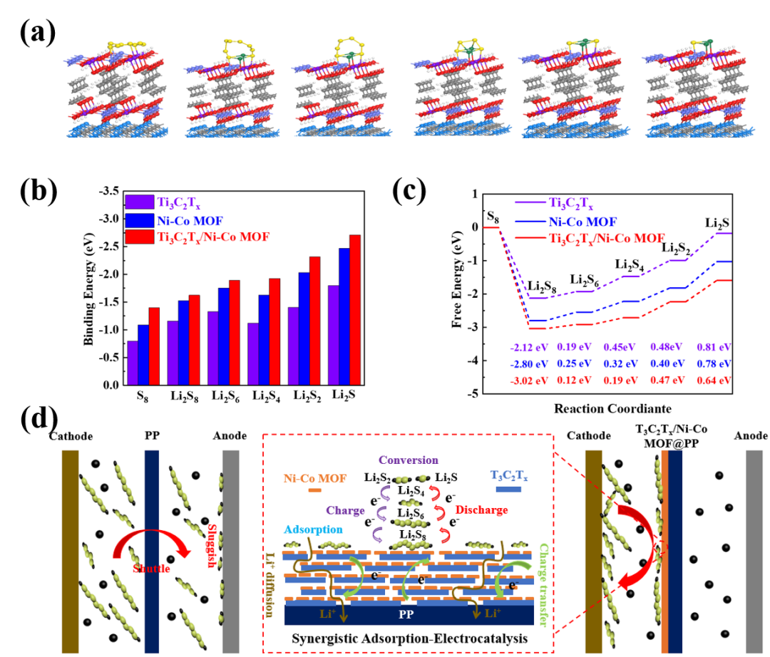 cej南京大学唐少春教授孟祥康教授团队在商业锂硫电池隔膜改性提升