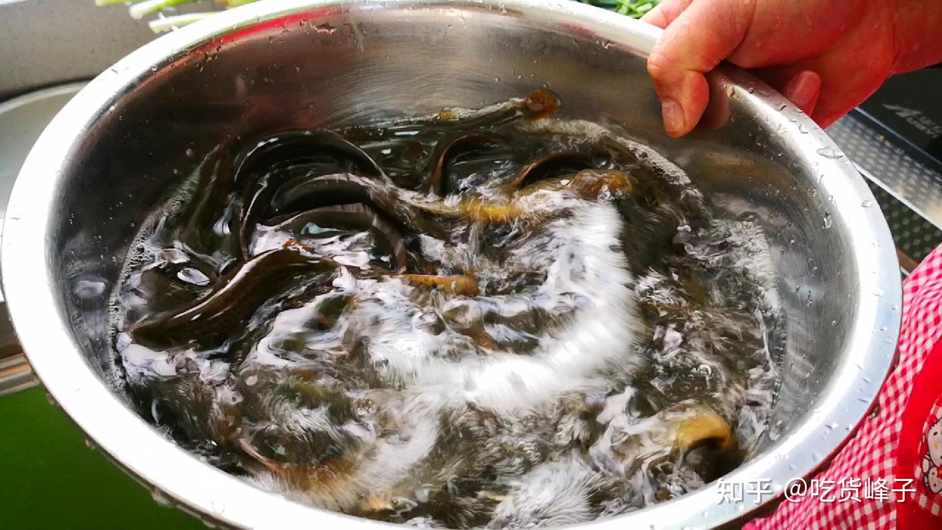 泥鳅汤的做法最正宗的做法(提高免疫力，好吃不腥的泥鳅汤法最正宗做法) | 说明书网