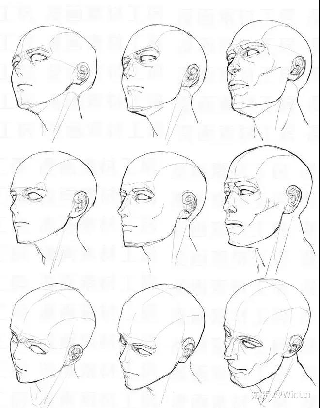 绘画练习素材丨上千个不同角度头部 / 脸型 / 眼睛 / 结构 / 比例 / 表情等练习参考素材， - 知乎