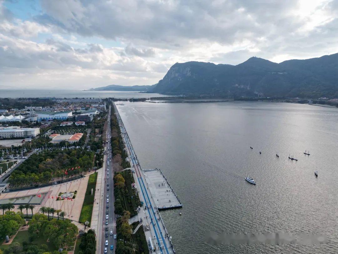 鸥鹭忘机—航拍海埂大坝,与红嘴鸥共舞! - 知乎