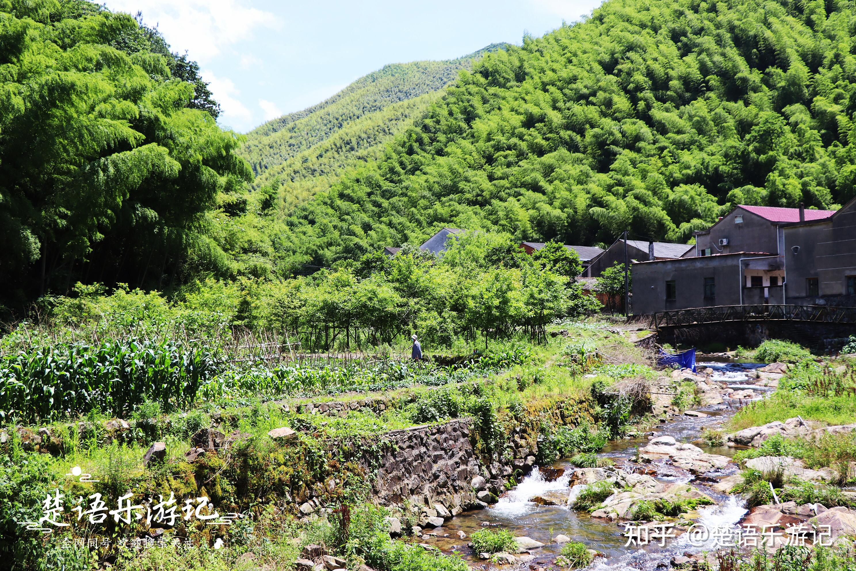 藏于奉化山岙的古村,依山傍水、梯田古道,少有人来但是景色清秀 - 知乎
