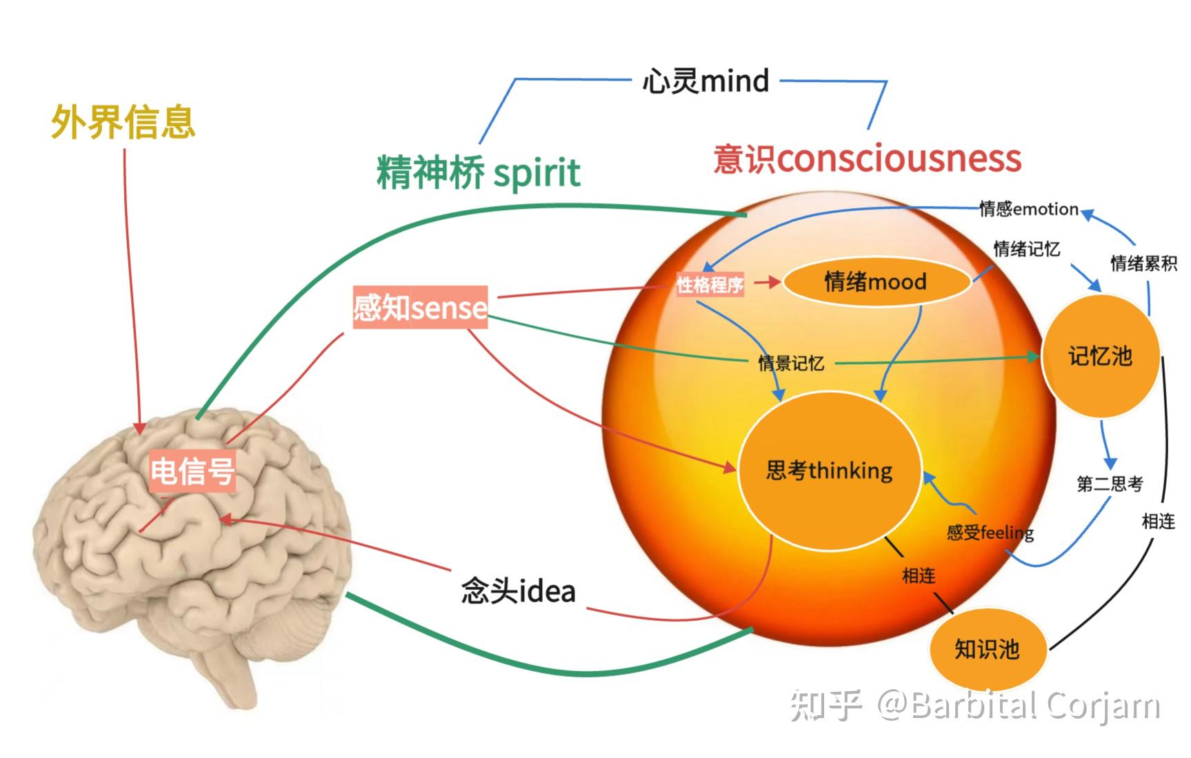 【cjw设定】主观的迷思——灵魂,意识与信息认知 - 知乎