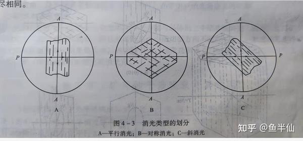《晶体光学》第四章 正交偏光系统下矿物的光学性质 - 知乎