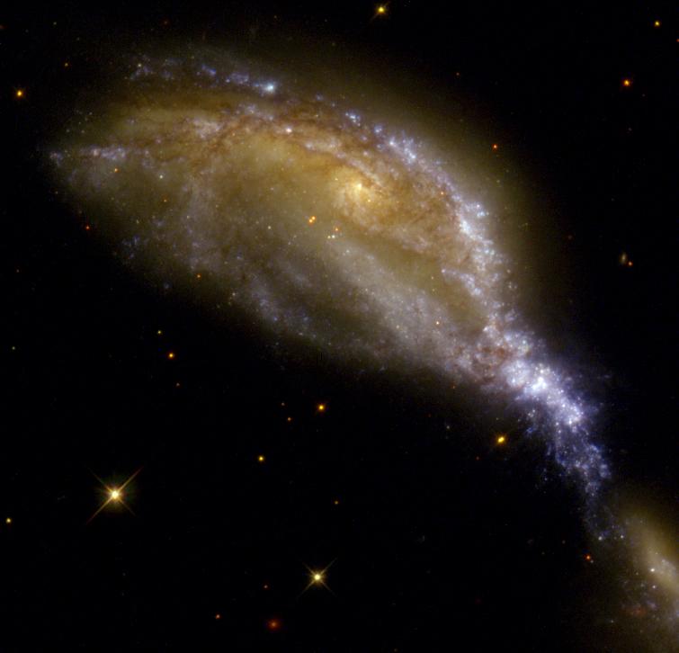 怎么看自己的星宿属于什么星 v2-feb7cb06ac6a7ce23881e565496aa798_1440w.jpg?source=172ae18b