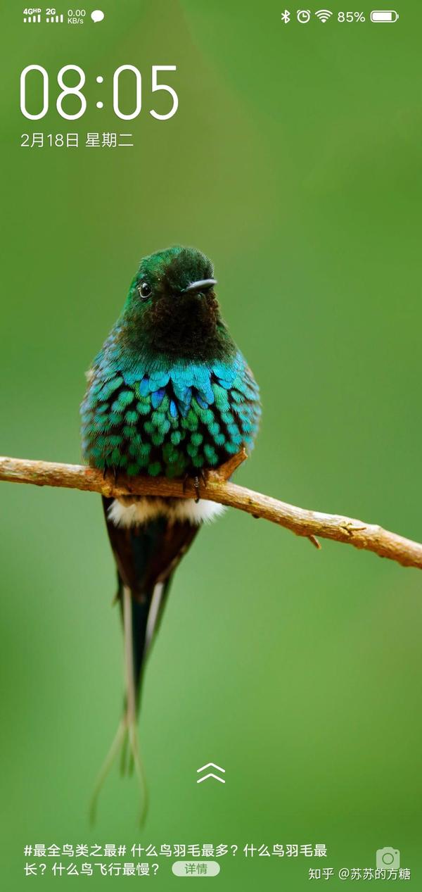 曼德拉就是看了这段话,醍醐灌顶,开创了以爱止恨的先河.