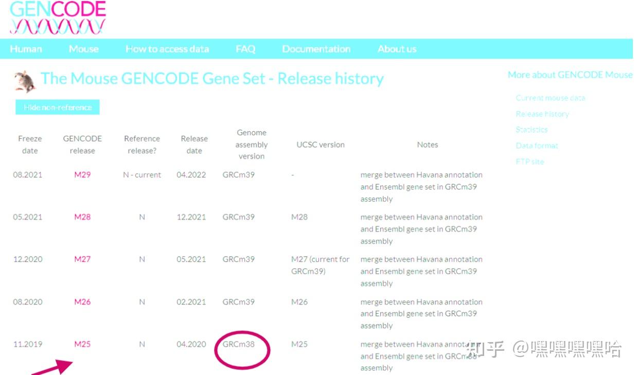 Ensemblid转换与gene Symbol基因名去重复的两种方法 知乎 1347