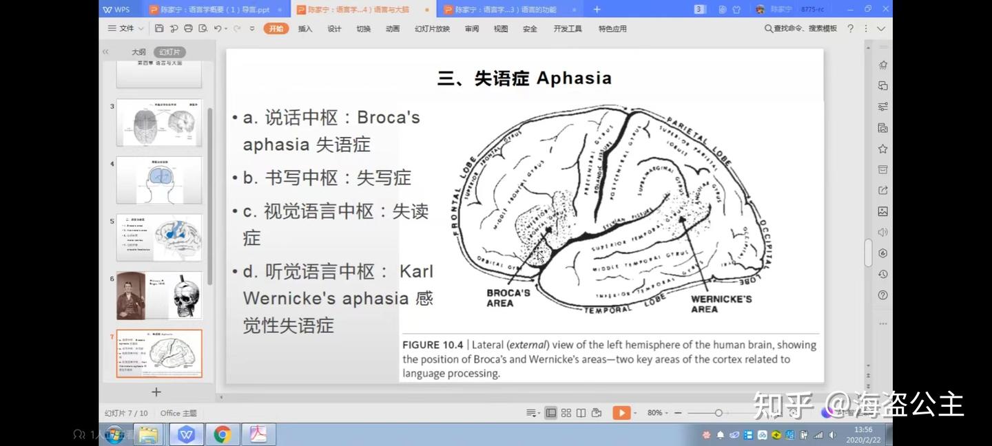 大脑是如何产生语言的? - 知乎