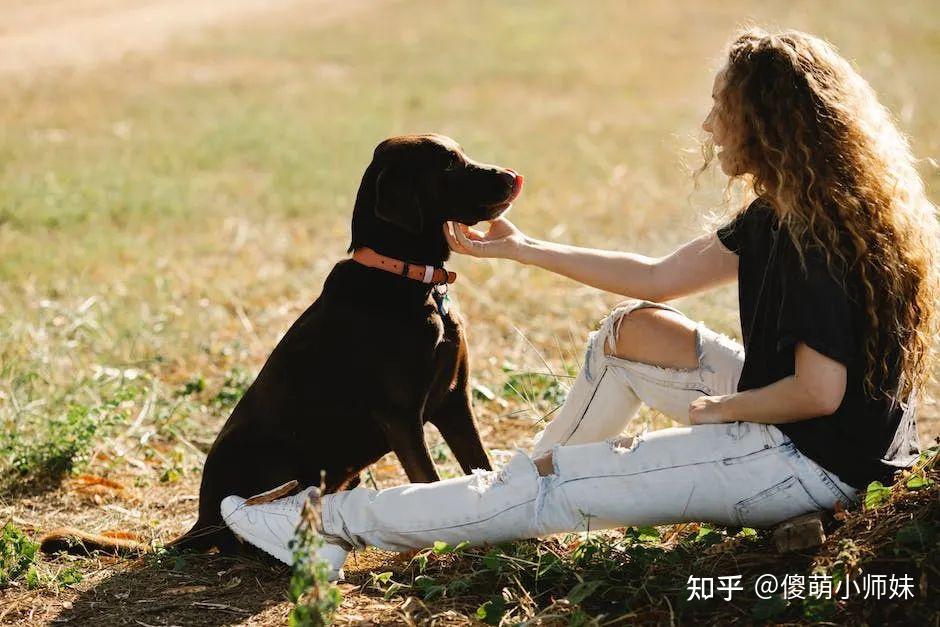你知道吗？把狗养得很好的人，都是狠角色！ - 知乎