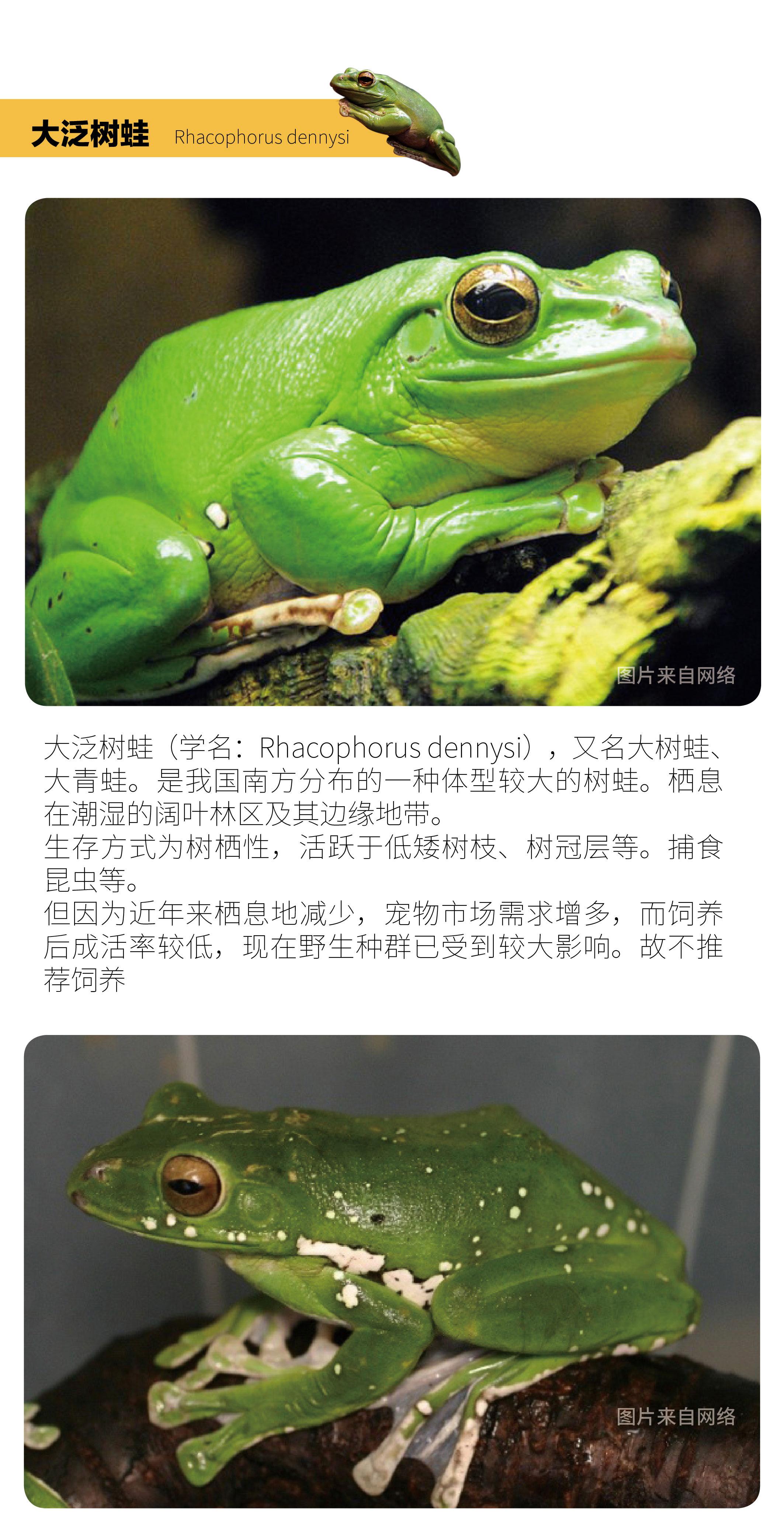 百度权重值认加指数蛙=百度权重数值与什么有关