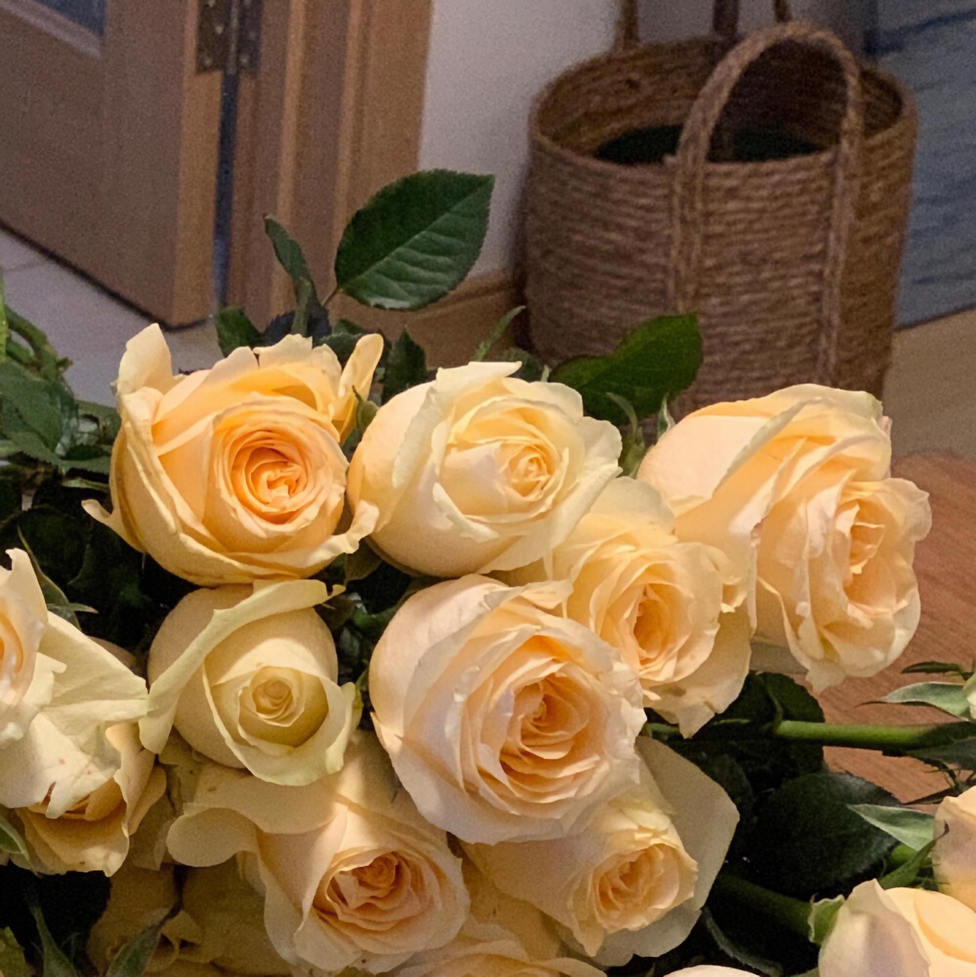 有关花の背景图头像文案