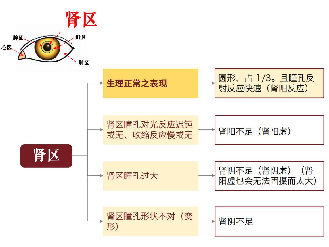 中医眼诊