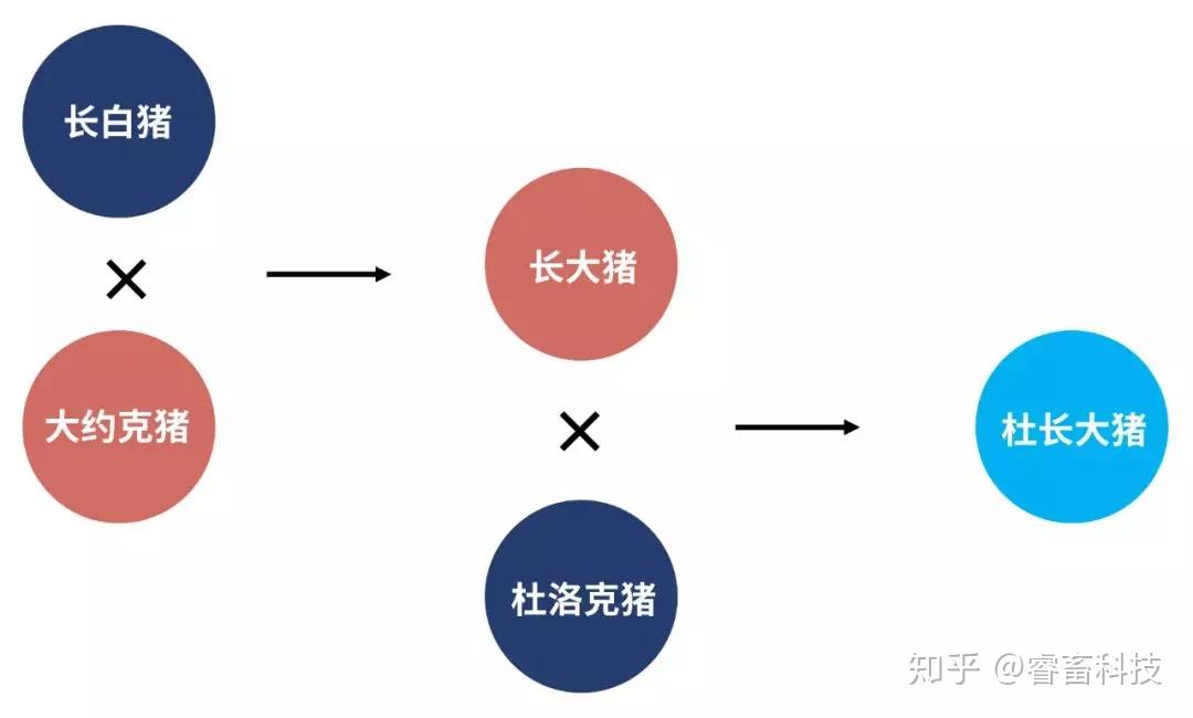 识实通什么成语_成语故事简笔画(3)