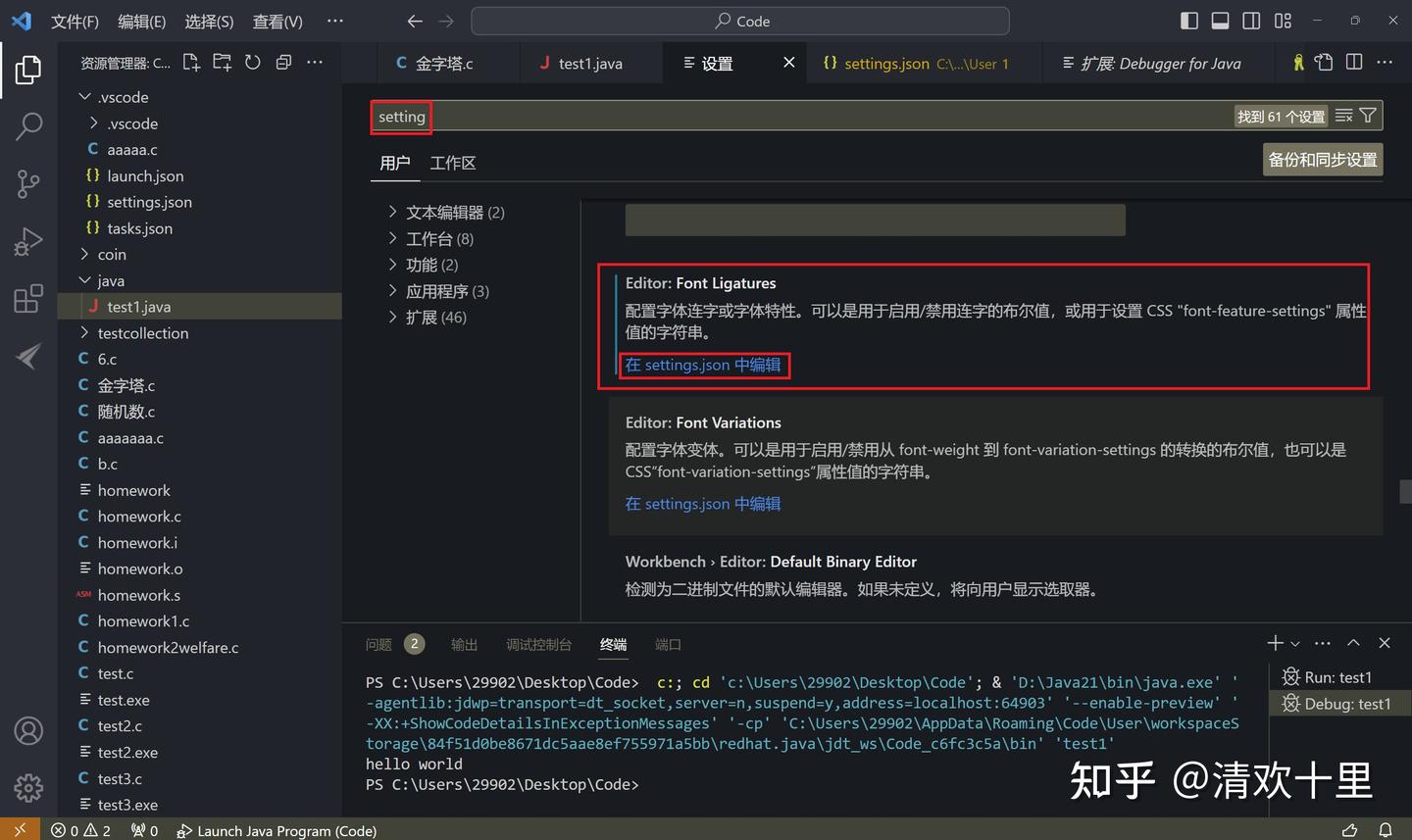  visual studio code java 