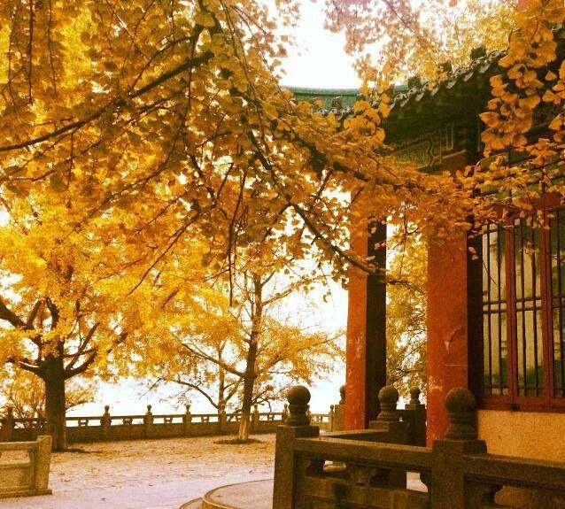 玄武湖 的湖光秋色