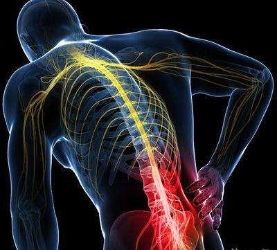 筋膜健身 下背痛 可爱的胸腰筋膜 知乎 筋膜健身 下背痛 可爱的胸腰筋膜 知乎