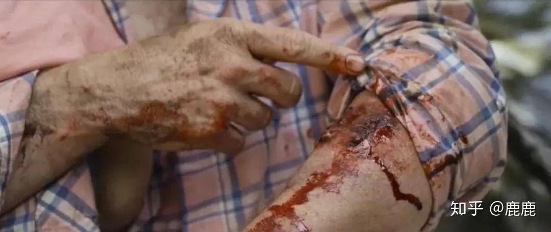 史上最感人丧尸片看完直接泪崩