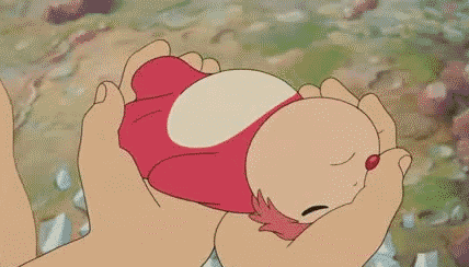 428_244gif 动态图 动图