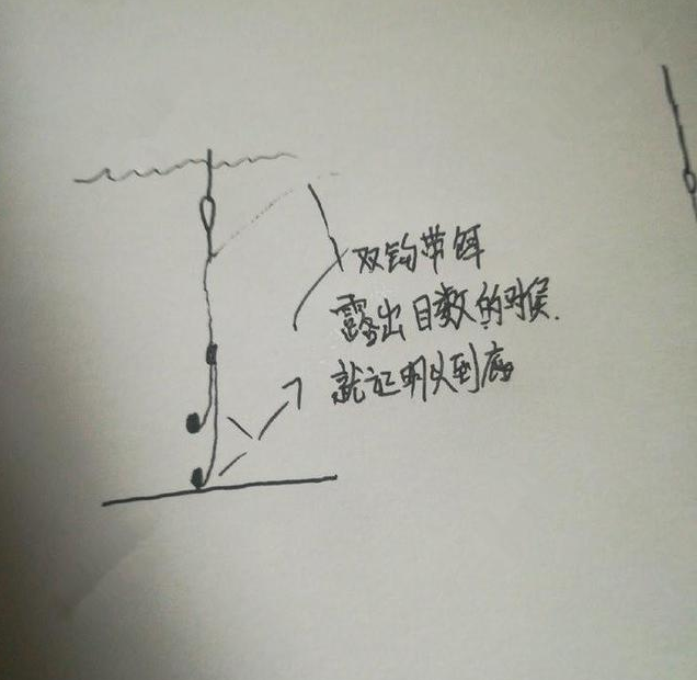 钓鱼手绘秘籍五分钟轻松找底