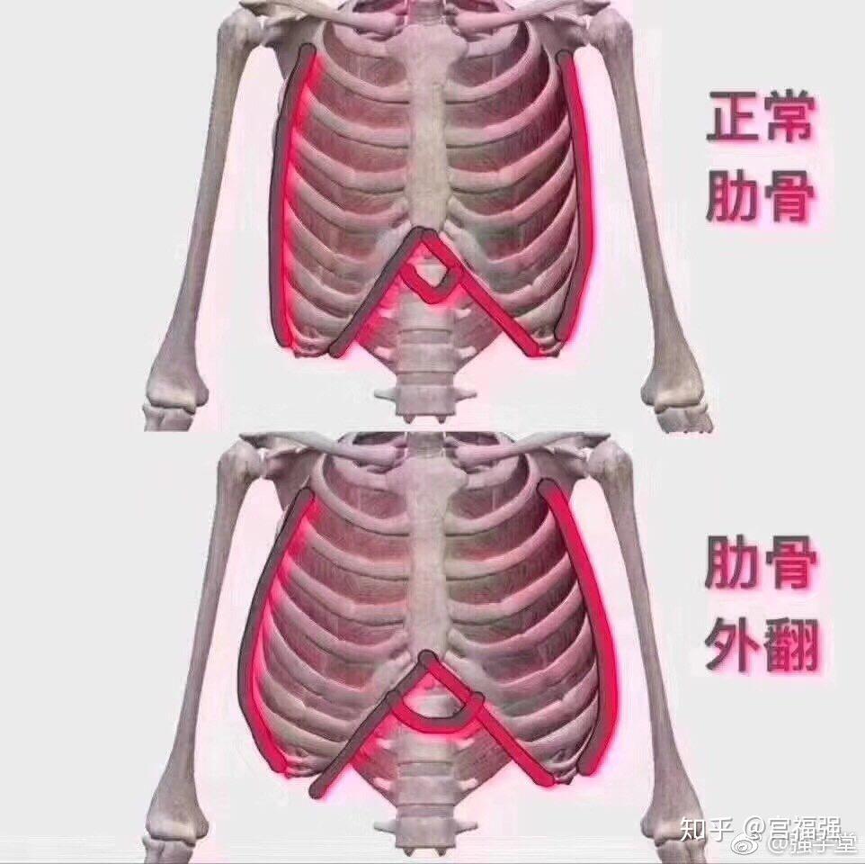 v2-ff3734c67f9f5e20773c44e1b3ab29b5_r.jpg