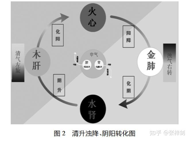 根据《四圣心源》相关论述绘制图 2.