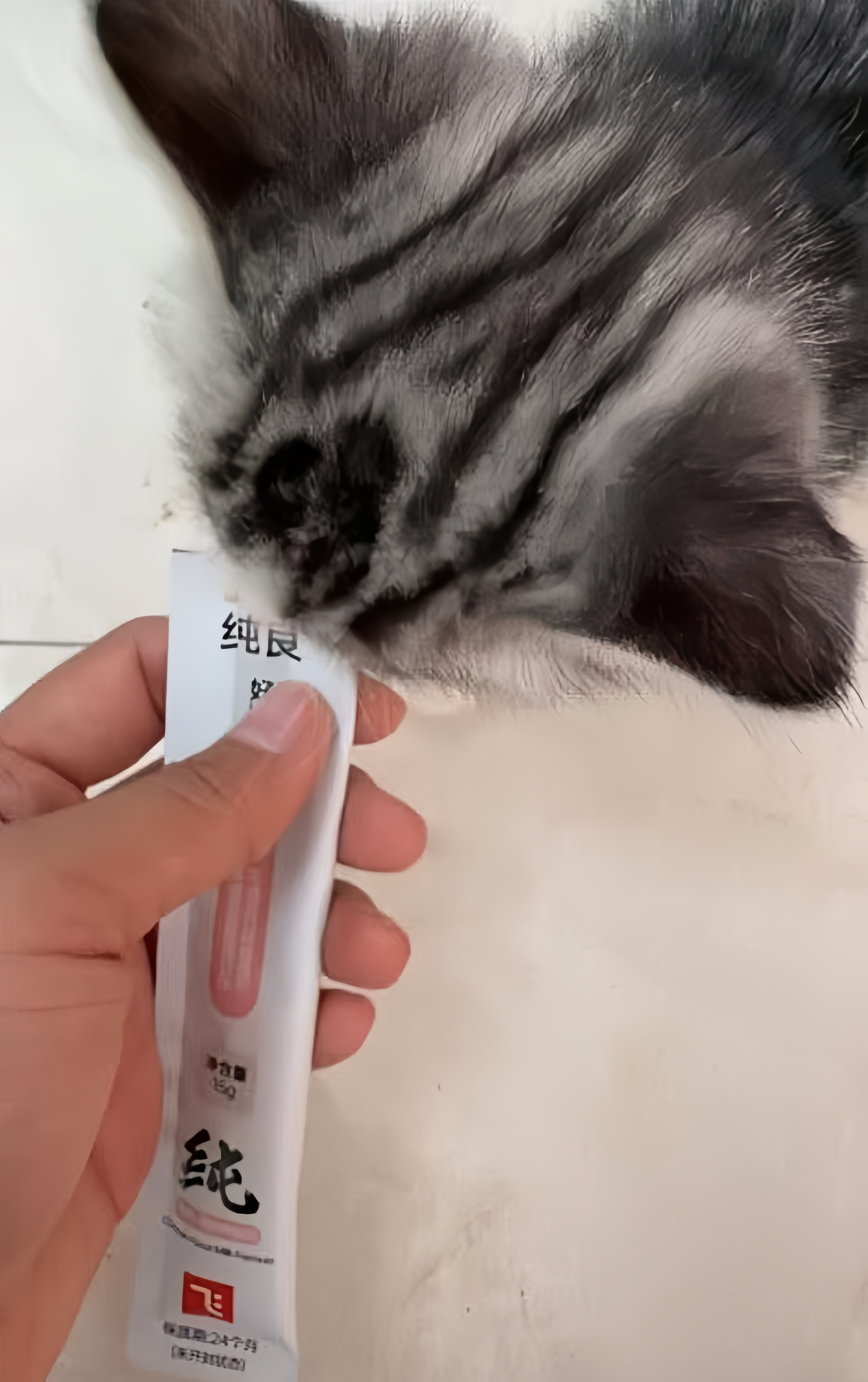 猫条为什么这么吸引猫? 会对猫咪有害吗? - 知乎