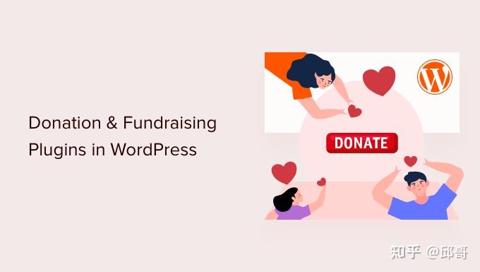 12 个最佳 WordPress 捐赠和筹款插件 (2023) - 知乎