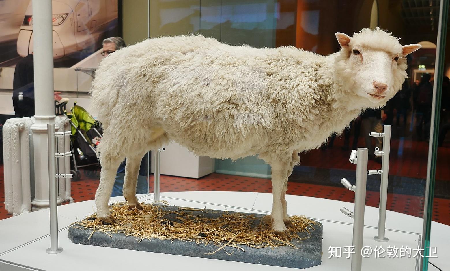 趣讲英伦:英国的博物馆及艺术画廊系列二