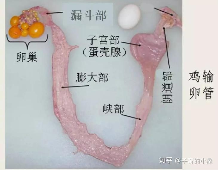 详解