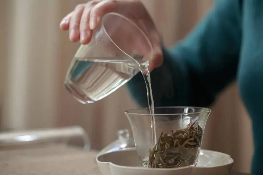 喝茶时的女人带着从容,淡定,优雅的表情,带着女性原有的温柔,善解人意