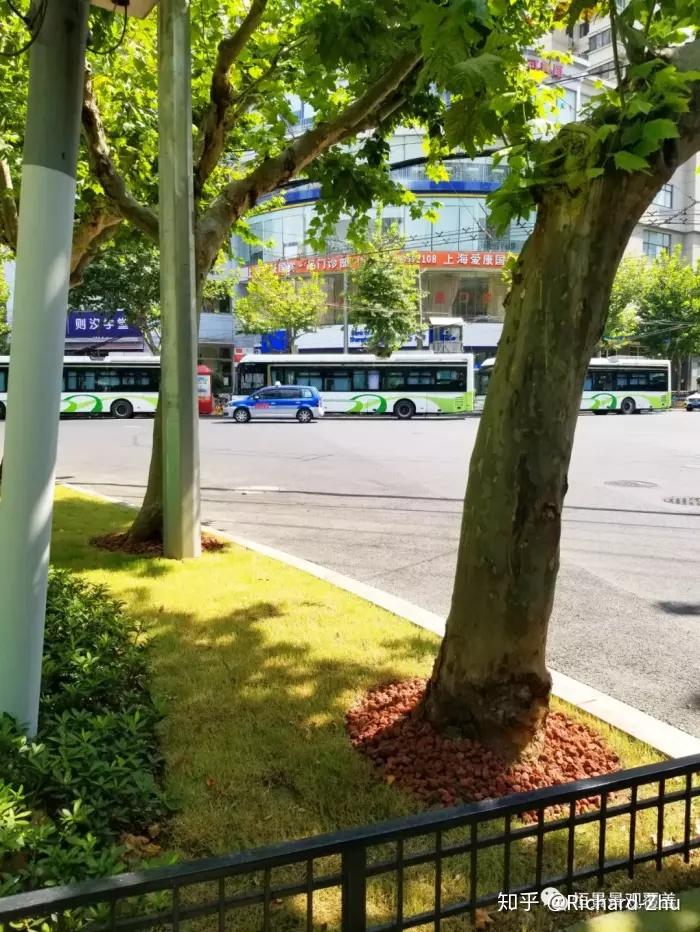 有机覆盖物案例与风共鸣的康余绿地