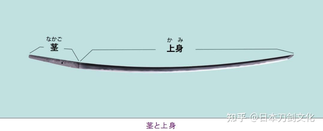 日本刀基础连载（三） 刀茎 - 知乎
