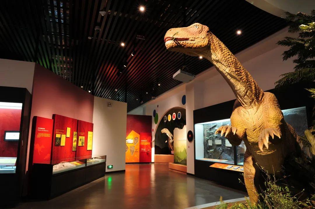 远古云南——史前时期的云南该展分为生命大爆发,恐龙世界,从猿到人