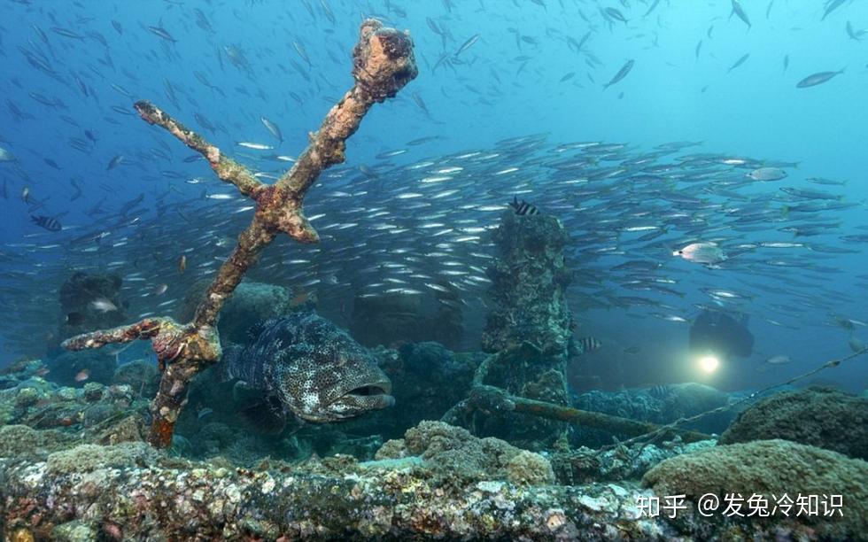 海底最深层处是什么知道真相后很痛心