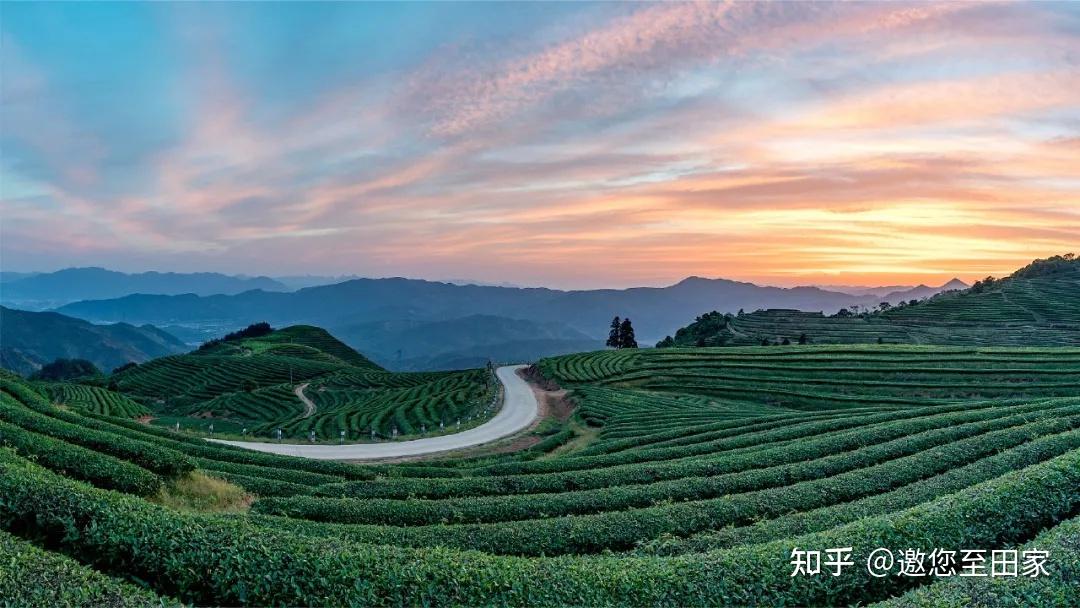 英德奇洞溫泉度假區→龍潤翡翠茶山→茶趣園大茶壺景區→老虎谷漂