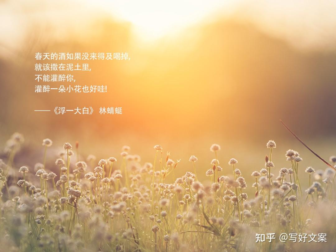 30句珍藏了很久的经典文案总有一条会惊艳到你