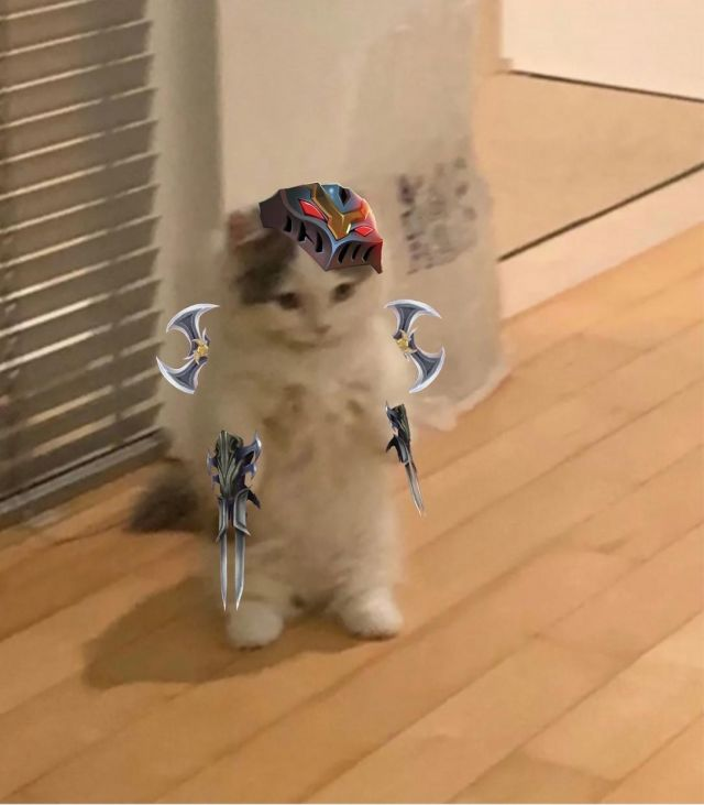 你都有哪些英雄联盟魔法猫咪的表情包