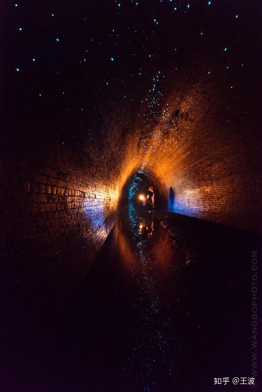 拍照怎么才能拍出虚化的效果 v2-ff86dcd8bfdcf42e782b2ce214cbddd9_r.jpg